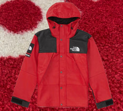 Supreme North Face Leather Mountain Parka FW18 Red