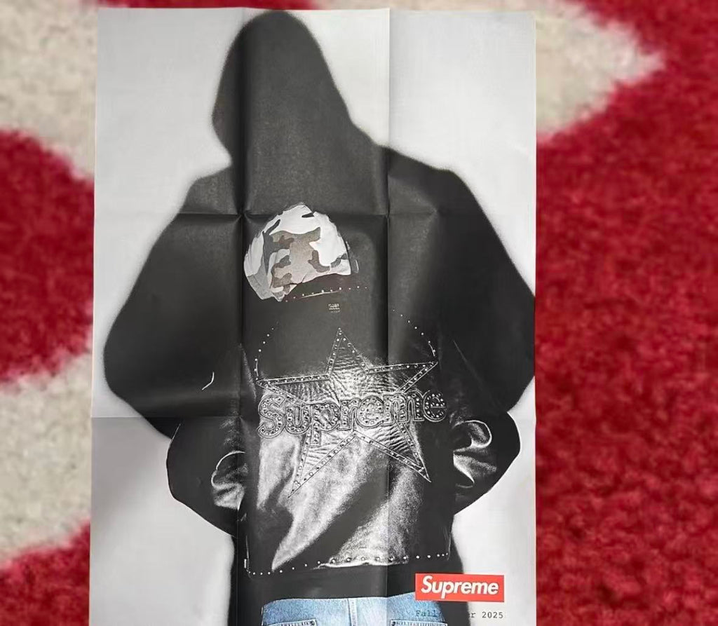 supreme ポスター SUPREME 2019 F/W LAFAYETTE DOOR POSTER BOX LOGO STICKERS NEW 36X11