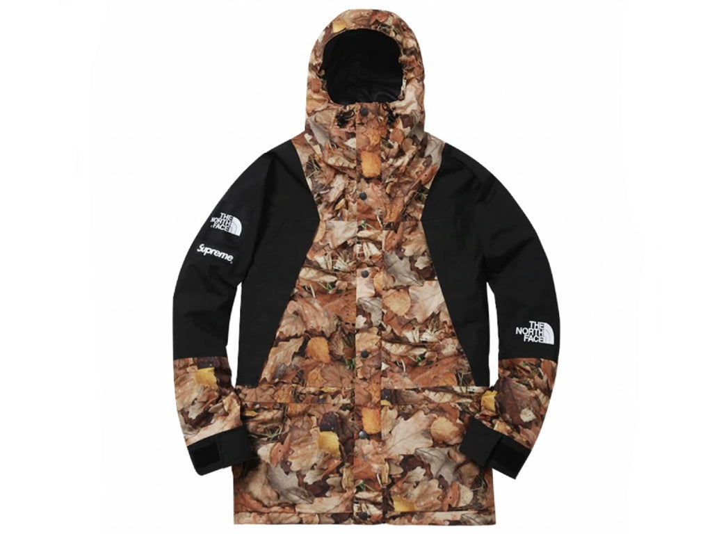 Supreme x The North Face Leaves Mountain Light Jacket FW16