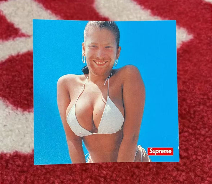 Supreme Aphex Twin Windowlicker Sticker SS25