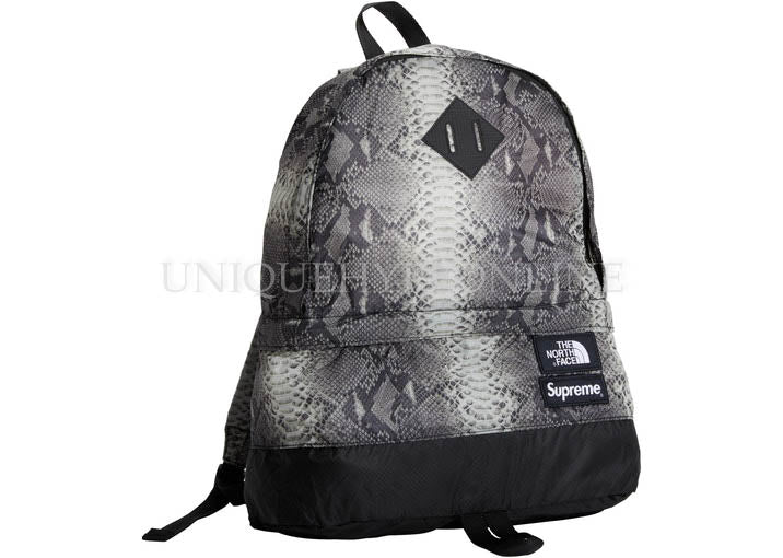 Supreme The North Face Snakeskin Lightweight Day Pack SS18 Black – UniqueHype Supreme The North Face Snakeskin Lightweight Day Pack SS18 Black – UniqueHype