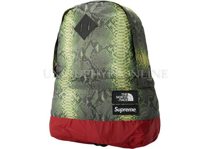 Supreme The North Face Snakeskin Lightweight Day Pack SS18 Green